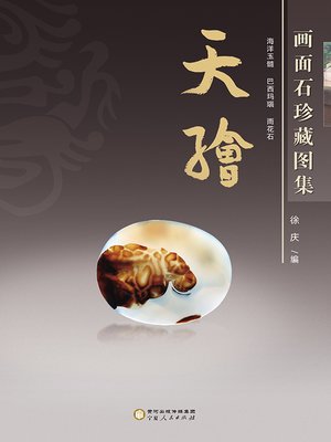 cover image of 天绘：画面石珍藏图集